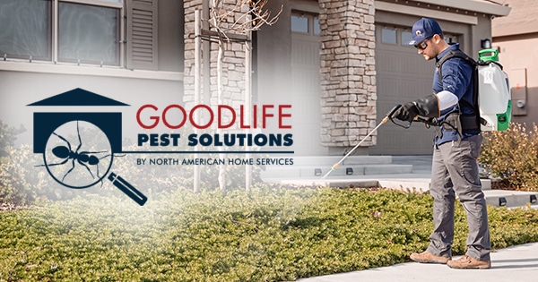 #1 Pest Control Services in Sacramento | Good Life Pest Solutions